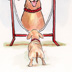dachshund in mirror